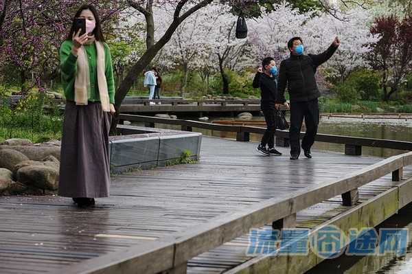 华为手机如何选择卡2流量（华为手机如何选择卡2流量上网）3